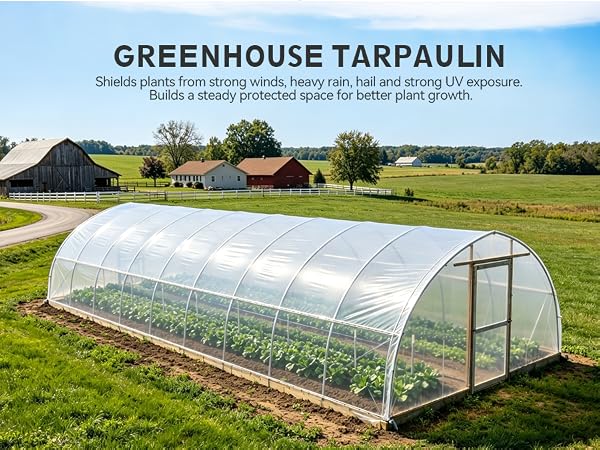 clear tarp,clear tarps heavy duty clear plastic tarp,tarp waterproof