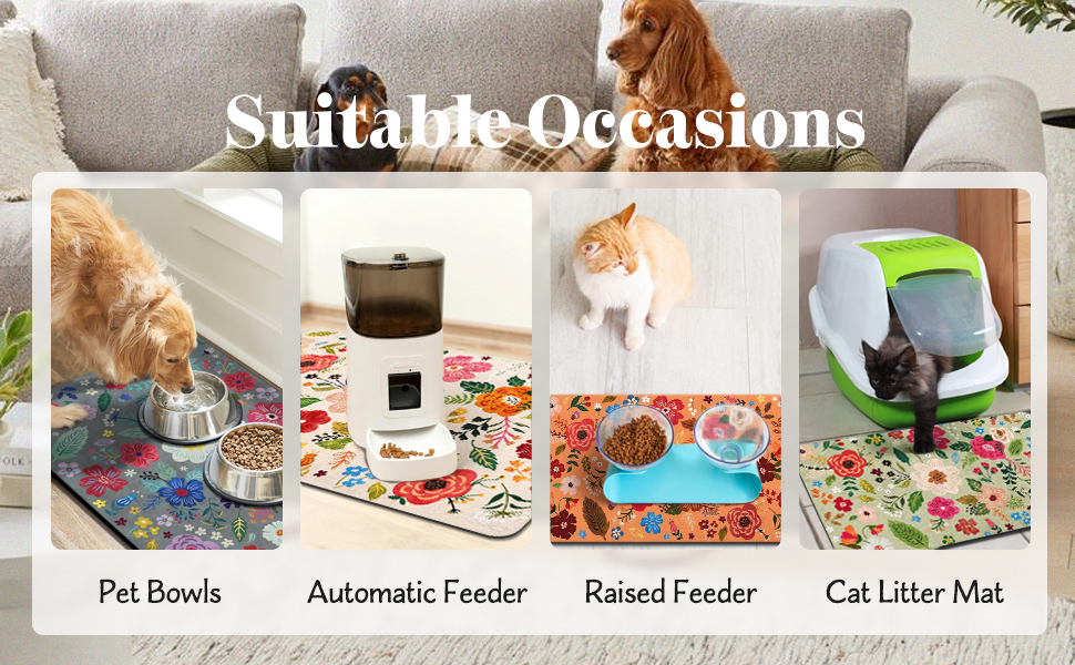 Suitable Occasions