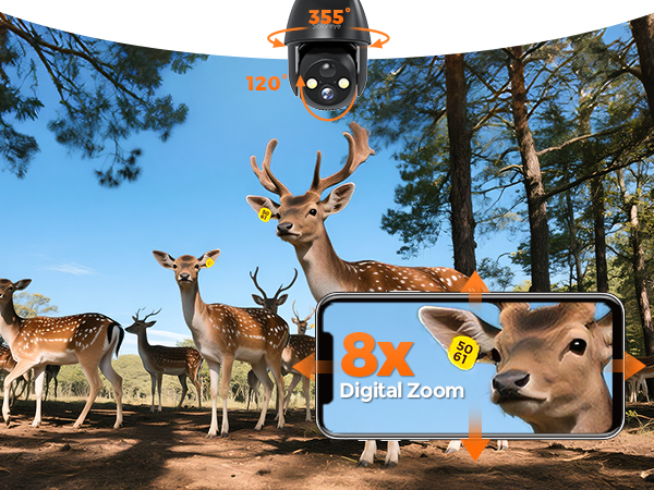 8X Digital Zoom