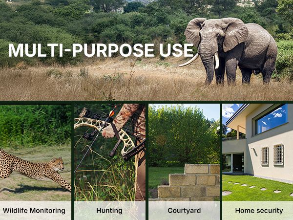 trail camera with night vision