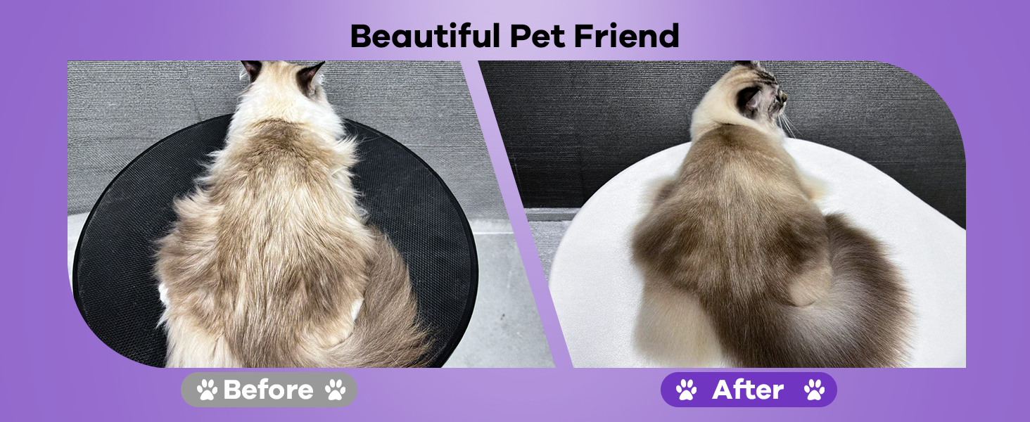 cat steam brush
