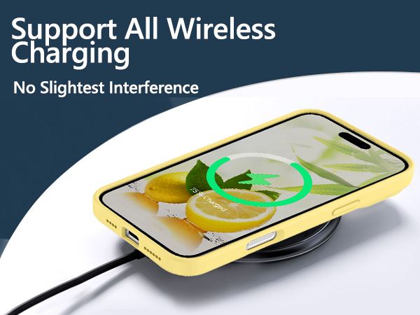 iphone 16 pro max case