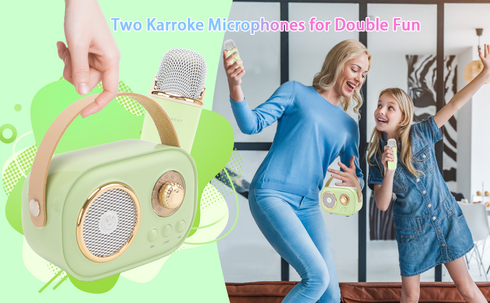 Portable Bluetooth Speaker with 2 Wireless Microphone