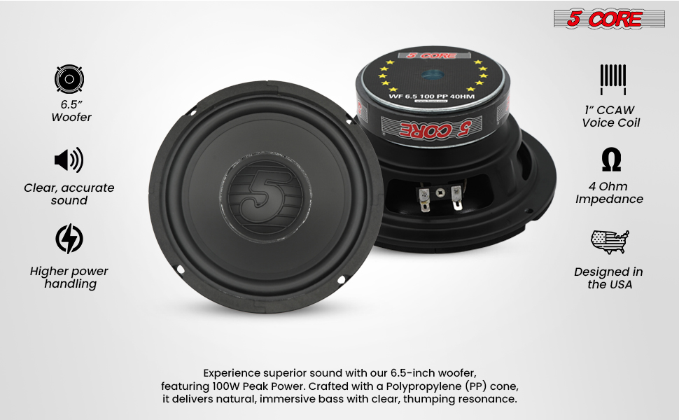 6.5 Inch Subwoofer