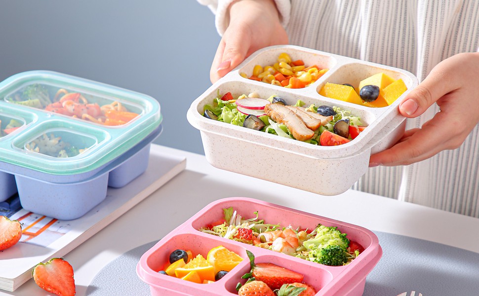 snack containers, lunch containers for adults, lunch box containers, snackle box container