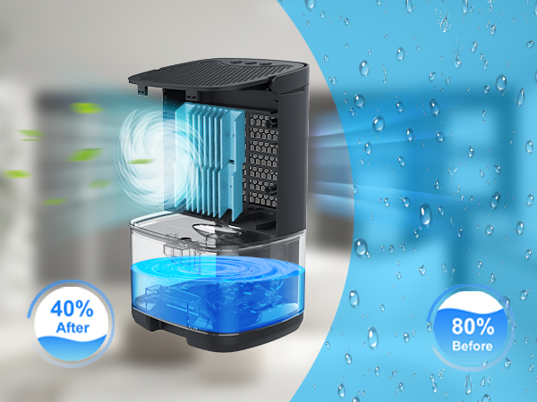 dehumidifiers for home