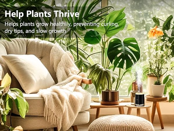 cool mist humidifiers for bedroom