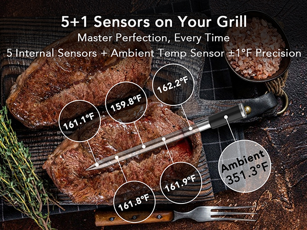 meat thermometer digital wireless