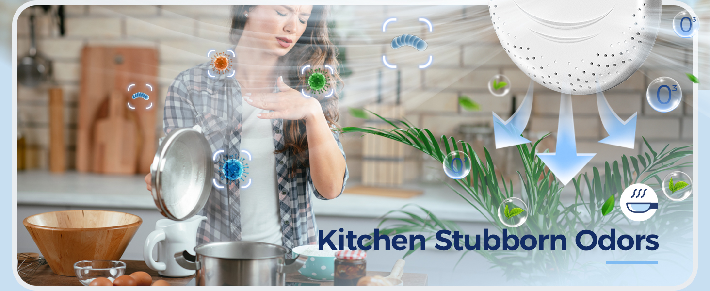 odor absorbers for home