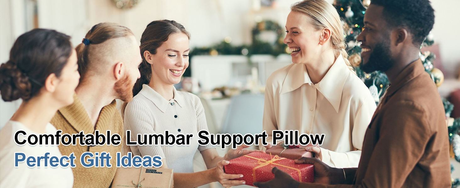 Lumbar Support Pillow for Car