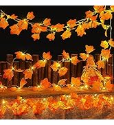 Hopolon 2Pack Fall Decorations for Home,Thanksgiving Lighted Fall Garland,Total 20Ft 40LED Maple ...