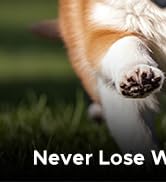 UGREEN FineTrack S 2-Pack Bluetooth Tracker Tags Work with Samsung SmartThings APP (Samsung Only)...