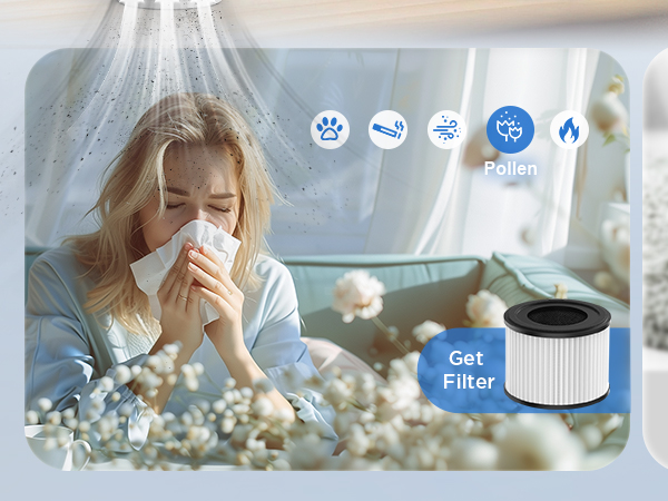air purifiers