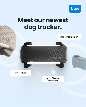 Meet our newest dog tracker