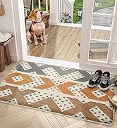 Color G Indoor Door Mat Front Door Mat 24"x36" Waterproof, Non Slip Washable Quickly Absorb Moist...