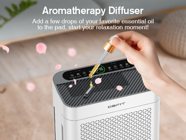 air purifiers with hepa