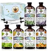 Essential Oil Set - Six Bottles (4 oz/120 ml) of Lavender, Peppermint, Lemon, Sweet Orange, Tea T...