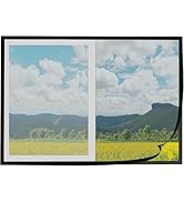 Ideal Swan Adjustable Window Screen, Replacement Max 39” x 59” DIY Fiberglass Mesh Window Screens...