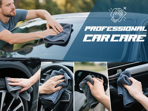 PROFESSIONAL CAR CARE