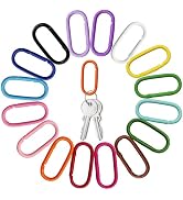 MILAKE 16 Pcs Oval Carabiners Colorful Keychain Clip, Lightweight Aluminum Spring Loaded Clip wit...