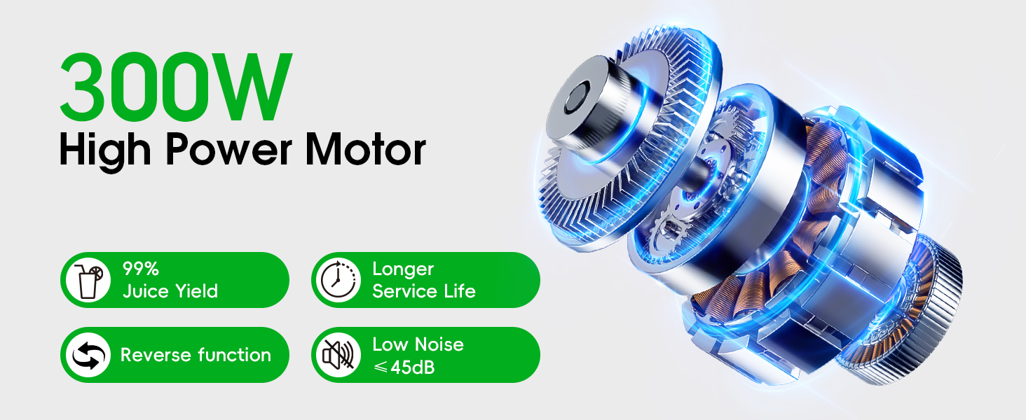 300W High Power Motor