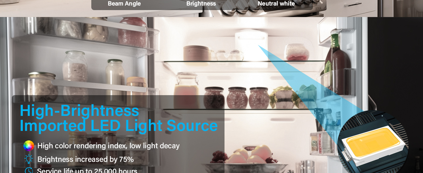 under microwave light bulb