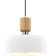 TeHenoo Modern Pendant Lighting,12 inch,Natural Wood and Brass Accent,Adjustable Cord Pendant Lig...