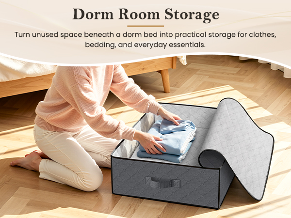 Dorm Room Storage