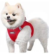 rabbitgoo Small Dog Harness, Step-in Soft Mesh Puppy Vest with Safety Buckle, Breathable Reflecti...