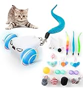 CZPET Cat Toys Kitten Jump Exercise Interactive Replaceable Elastic Automatic Toy Funny Cat Tease...