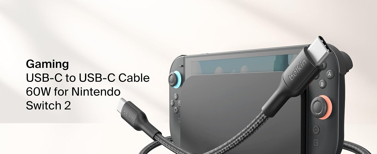 Nintendo Switch Charging Cable