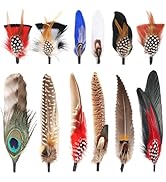 Daieeparty Hat Feathers 12PCS Colorful Natural Craft Feather for Cowboy Hat Fedoras Trilby Hats P...