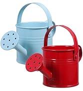 DOITOOL 2 Pack Kids Metal Watering Can for Gardening, Small Iron Watering Can Set for Indoor Outd...