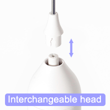 Interchangeable whisk head