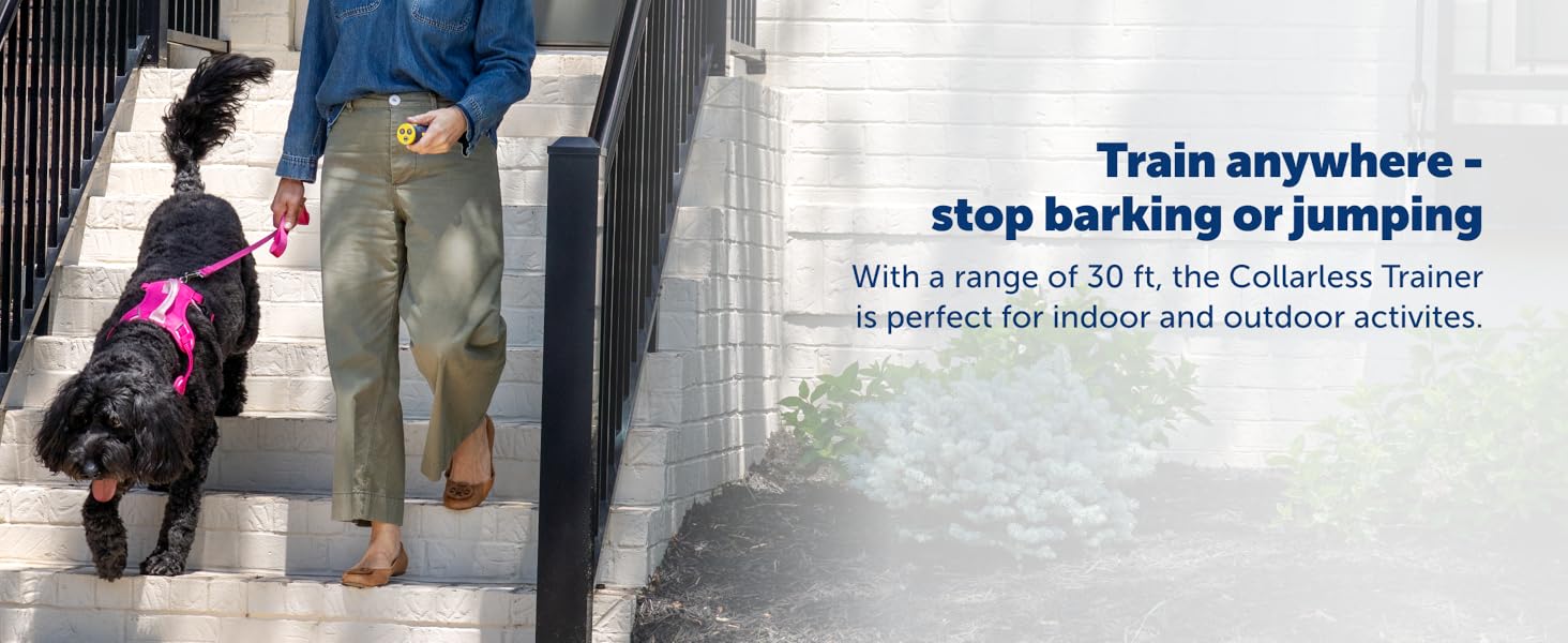 Person walks dog with PetSafe Collarless Trainer, ideal for correcting behavior from 30 feet away. 