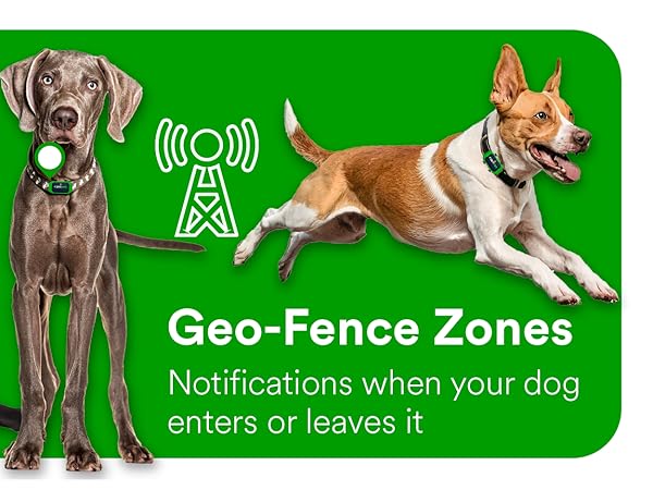 multi-pet tracking with geo fence and notification alarms if lost or stolen