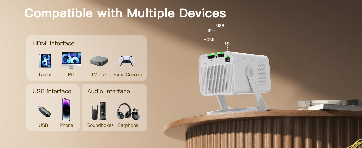 Multiple Playback Support projector