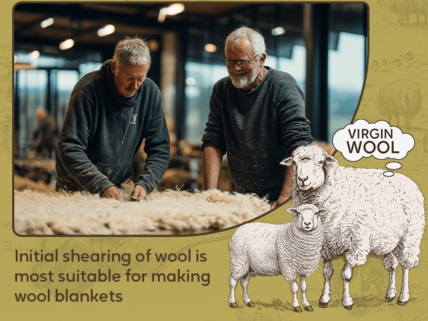 Virgin Wool