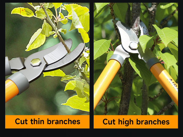 loppers,branch cutter,tree trimmer,tree pruner,tree branch cutter,tree branch trimmer