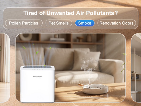 Air purifier for smoke