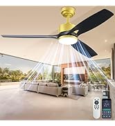 Ceiling Fans with Lights and Remote - 52 Inch Smart App Control Modern Low Profile Fandelier - Fl...
