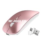mouse with jiggler