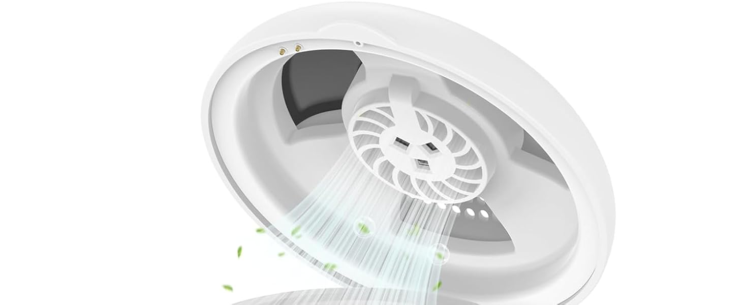 ultrasonic retainer cleaner
