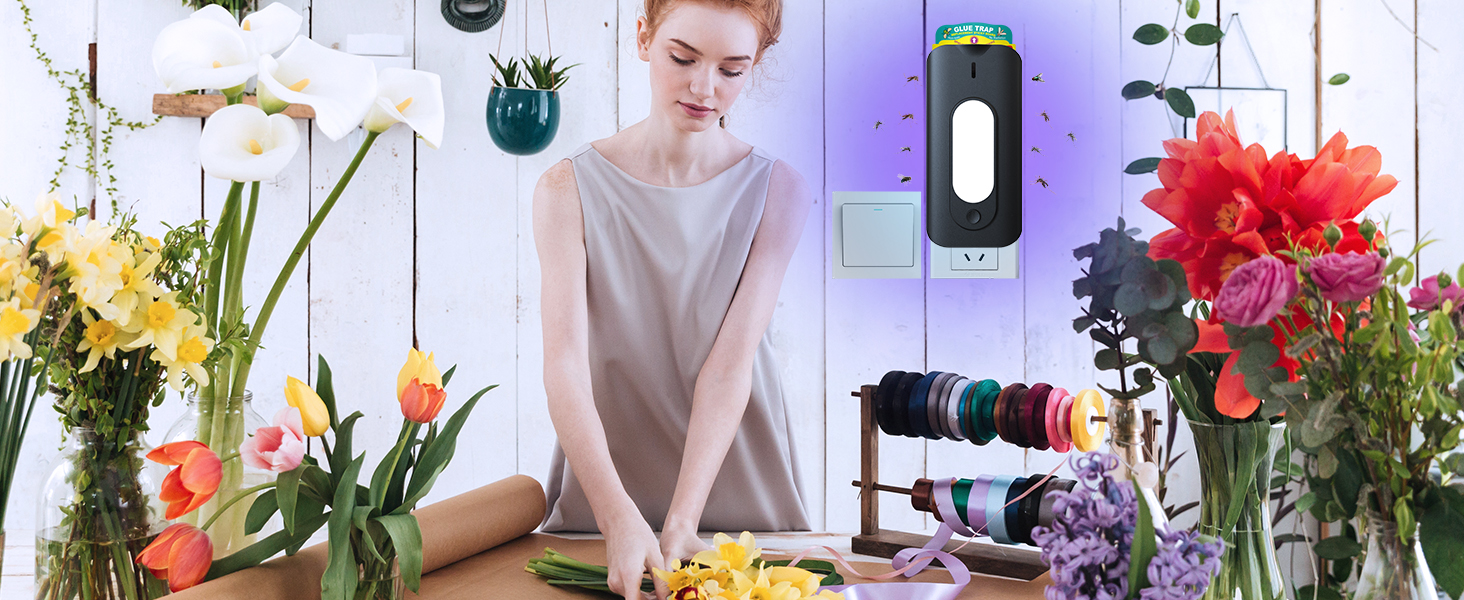 fly traps indoor for home