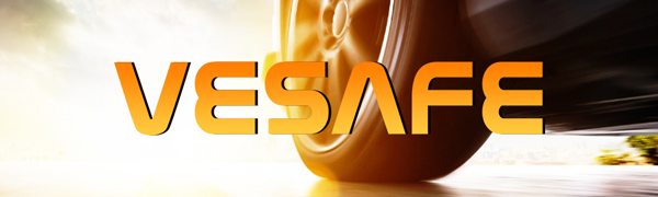 VESAFE LOGO