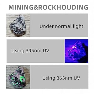 365nm Ultraviolet Ray