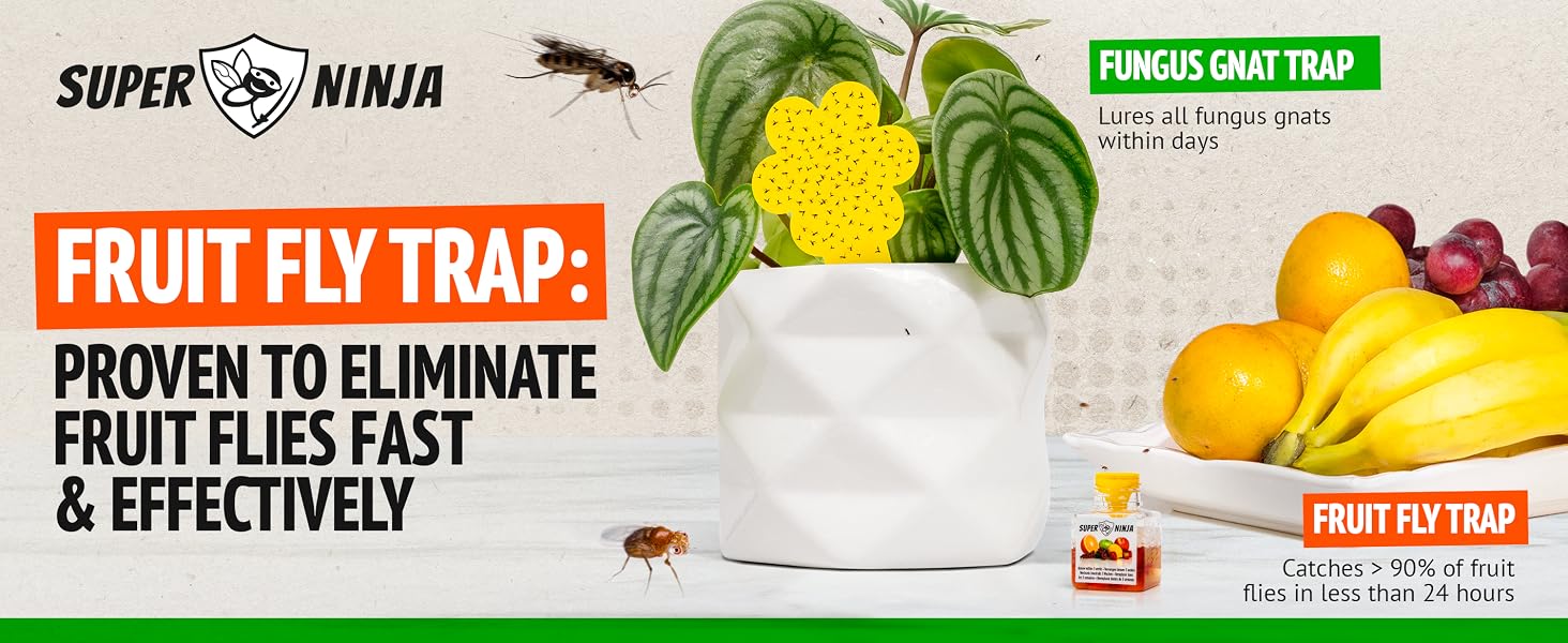 organic fly trap indoor use