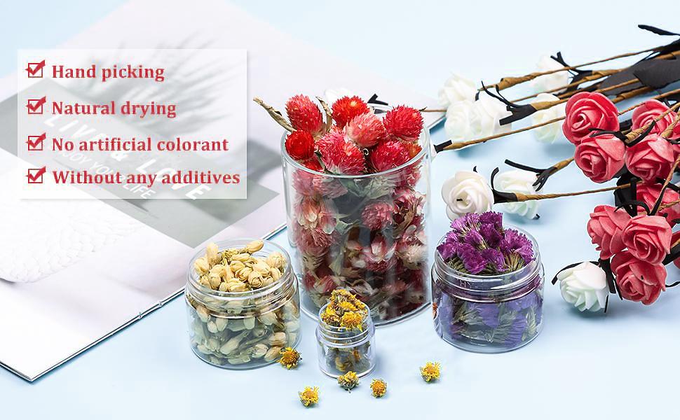 Natural Dried Flowers Kit