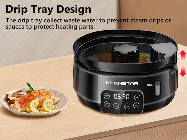 eletric food steamer