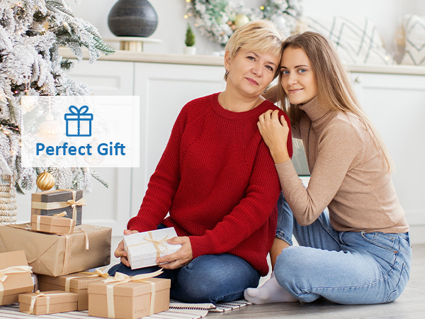 Travel Camping Fridge